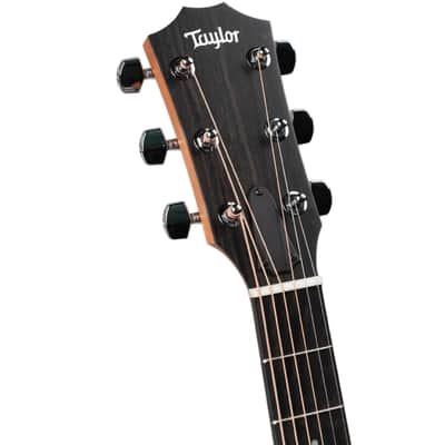 TAYLOR 214CE - WALNUT/SITKA WITH GIGBAG image 4