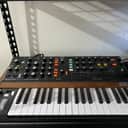 Behringer Poly D 4-Voice Polyphonic Synthesizer 2020 - Present - Black / Wood