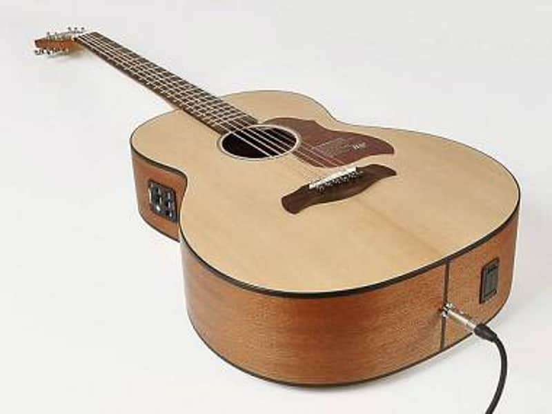 richwood  b 20 e  chitarra elettrificata acu... image 1