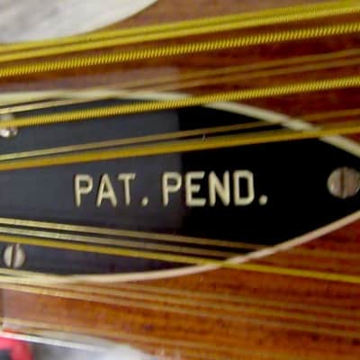1971 Smith BW-18-P 18-String Cutaway image 7