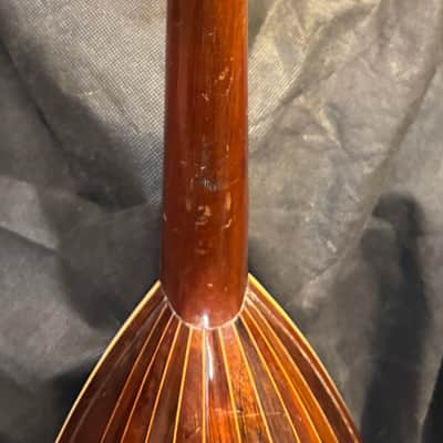 American conservatory Lyon & Healy Bowl Back mandolin - Early 1900s  - Brazilian Rosewood - All Org. - Great Player - Ships FREE!!! image 10