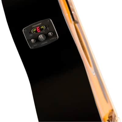 Fender acoustic image 11