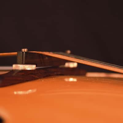 Ventura Mandolin – Excellent Condition! image 8