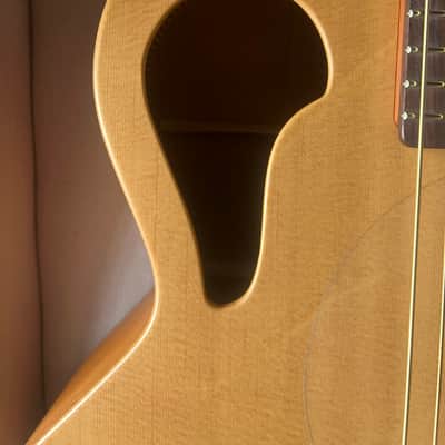 Tacoma BM6C Baritone Thunderhawk Datt Case image 5