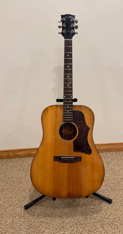 Gibson J-55 1972 - 1979 | Reverb