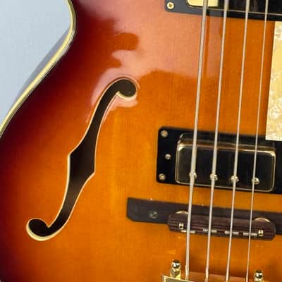 Jay Turser Hollow Body Electric Bass Guitar w/ Hardshell Case – Tobacco Sunburst image 6