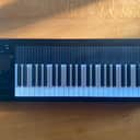 Expressive E Osmose 49-Key Haken Audio + Carry Bag - October 2023