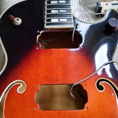 Immagine Polytone Improv I Archtop Jazzbox - RARE - Japan - 22