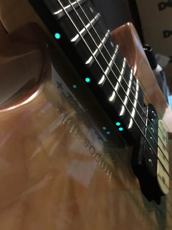 Impossible@guitar™ בְּצַלְאֵל Bezalel JCustom Steinberger Rtrem + GhostFire Bullet 3.0 padded Super Thick GigBag - Safe Shipping image 1