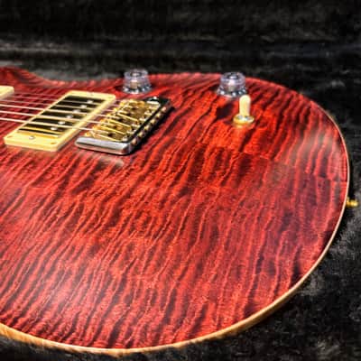 PRS 25th Anniversary Modern Eagle II Tremolo 2010 - Angry Larry image 16
