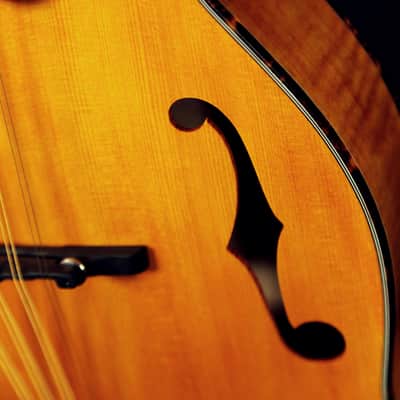 Micawber Haystack Octave Mandolin image 12