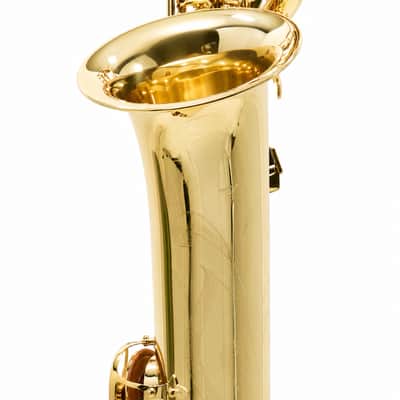 Eastman EBS453 Performance Low A Baritone Saxophone SN A2590393 image 13
