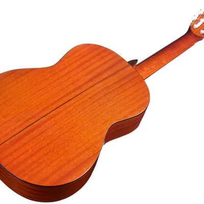 Cordoba Iberia C5 Cedar Nylon Guitar - Solid Top image 4