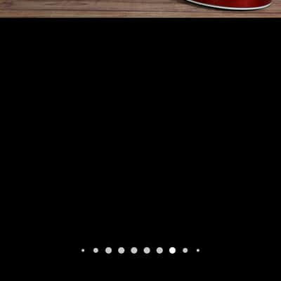 Washburn B16 5 string bluegrass banjo image 2