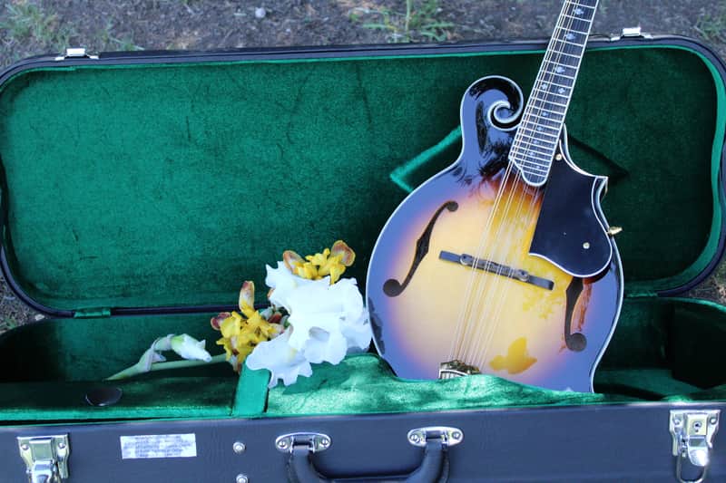Washburn M3SWK Bluegrass F-Style Mandolin with Hardshell Case- Sunburst image 1