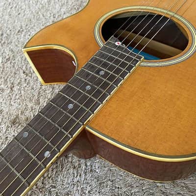 Sakura 40 Inch Acoustic Guitar, Mahogany Body and Neck, Rosewood Fingerboard image 2