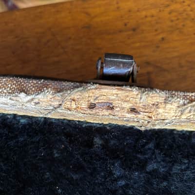 Vintage 1956 Danelectro Hardshell Case – Generously Relic'd by Time, Wildlife, and "KC" image 23