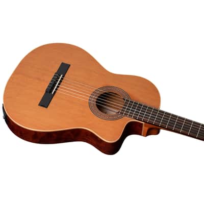 Ortega Rce180 Gt image 3