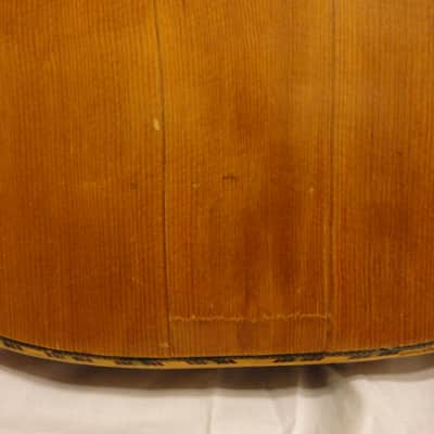 Knutsen Symphony 18 String Harp Guitar 1902 Natural image 18