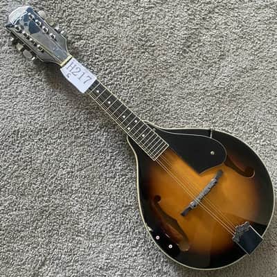 Washburn 8 String Mandolin in Tobacco Burst, Spruce Top Mahogany Body and Neck, Rosewood Fingerboard image 1