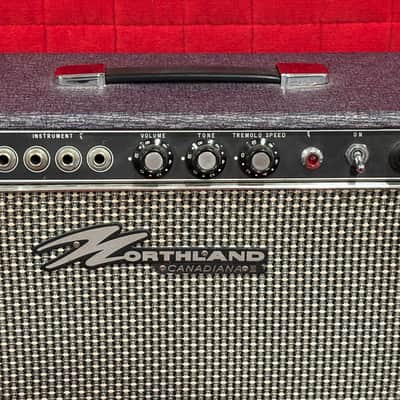 Vintage 1960’s Teisco Northland Canadiana III Tube Amp Purple Tolex Tremolo RARE image 3