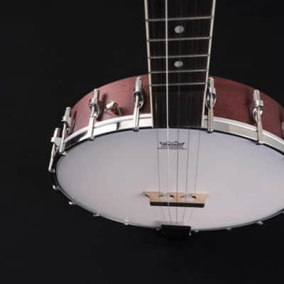 Washburn B7 Banjo image 7