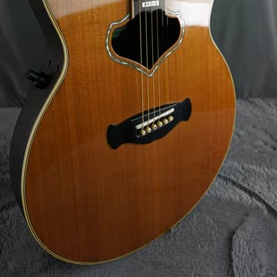 Morris Tornado SZ Japan Electric Acoustic Guitar image 1