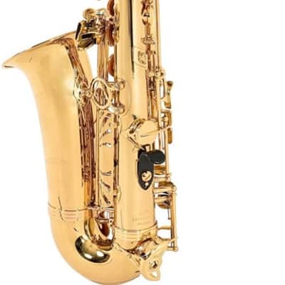 Antigua Vosi Eb Alto Sax All Lacquer Outfit With Case image 2