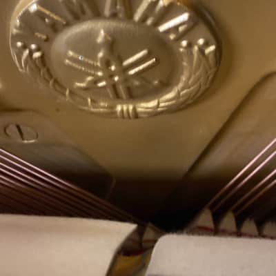 Yamaha U1 48'' Upright Piano image 8