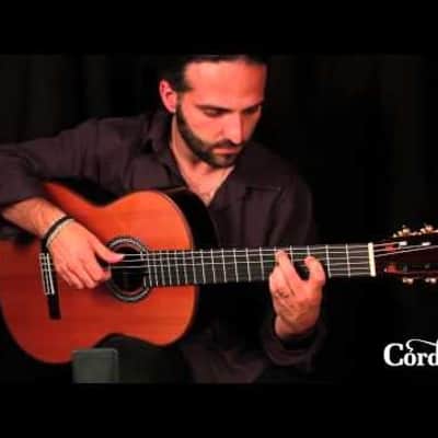 Cordoba C10 CD/IN Nylon-String Classical Acoustic Guitar (Cedar Top, Gloss Poly Finish) image 10