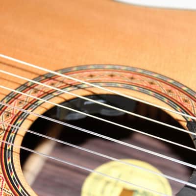 Guild GN-5 Classical Nylon-String Acoustic Electric Cutaway Guitar w/ Case image 6