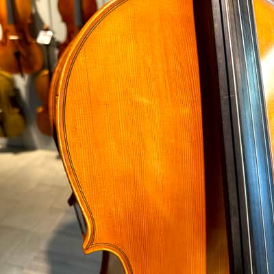 Student Cello: 1/2 Cello - Segue Concertino Plus 2016 - Oil varnish image 15