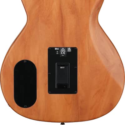 Fender Highway Parlor Thinline Acoustic-Electric Guitar (with Gig Bag), All-Mahogany imagen 8