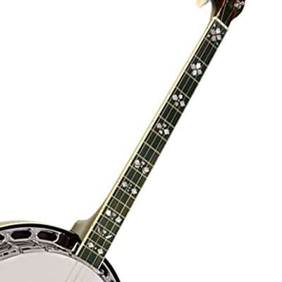 Gold Tone TS-250/L Tenor Special 4-String Banjo w/Hardshell Case For Left Handed Players image 6