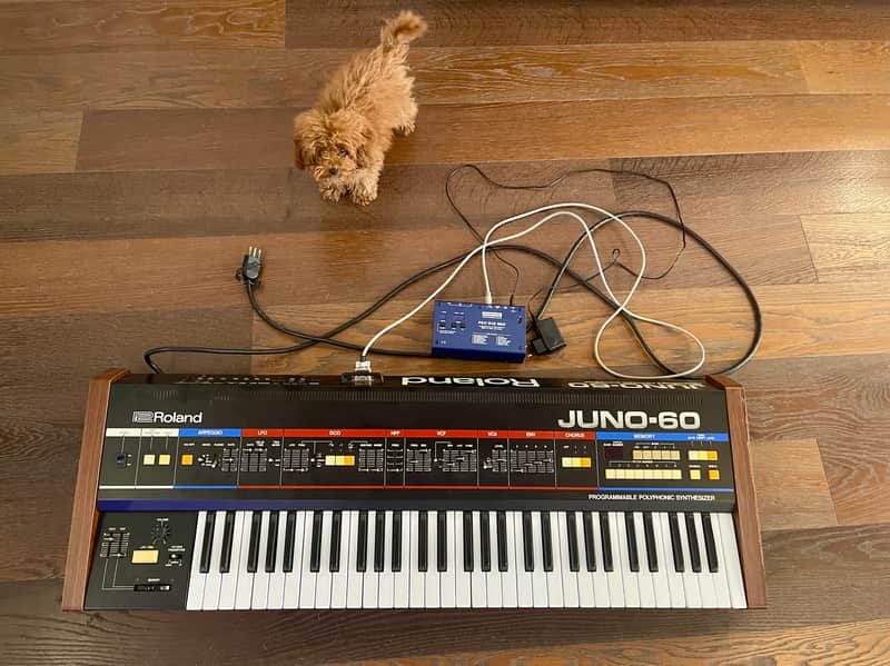 Roland Juno-60 61-Key Polyphonic Synthesizer 1982 - 1984 - Black image 1