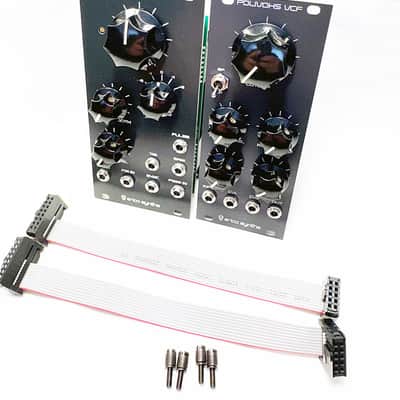 Erica Synths Polivoks VCO VCF Voice of Polivoks Eurorack Modular System 22HP image 6