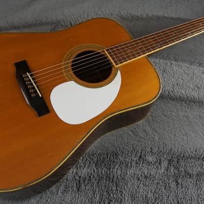 Morris W-35 Special Japan Acoustic Guitar image 4