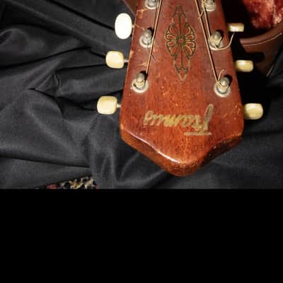 Framus 6 strings banjo image 7