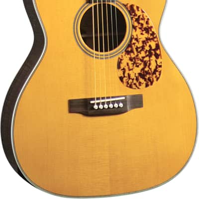 Blueridge BR-163 Grand Auditorium Acoustic Guitar, Solid Spruce Top