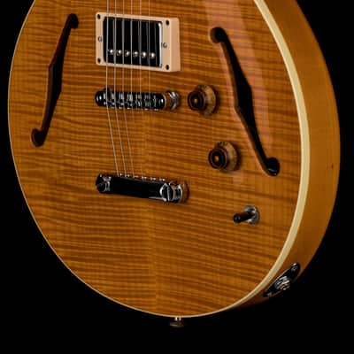 Hamer Custom Shop Newport Pro (2003) - Amber #52665 with Original Hard Case image 7