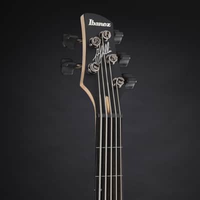 Ibanez Gary Willis GWB205-TQF Tequila Sunrise Flat - 5-String Electric Bass image 4