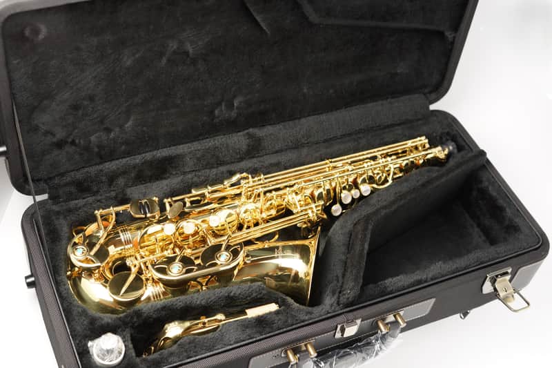 【Special price】 Yanagisawa A-WO1 [AW01] Professional Alto Saxophone image 1