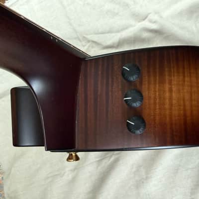 Taylor Builder's Edition 614ce 2024 OHSC image 10