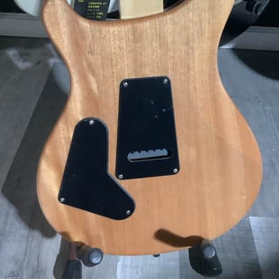 PRS SE Custom 24 2010s - Blue Flame image 2