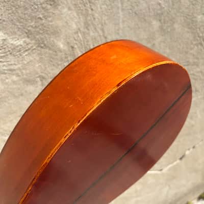 Levin Mandolin 1920s image 13