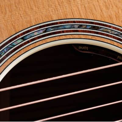 Taylor Gold Label 814e Electro-Acoustic, Natural image 5