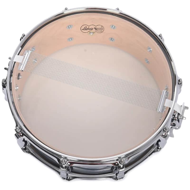 Ludwig LS401 Classic Maple 5x14" 10-Lug Snare Drum image 2