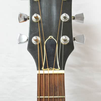 1976 Gibson J-55 American Made Acoustic Electric image 7