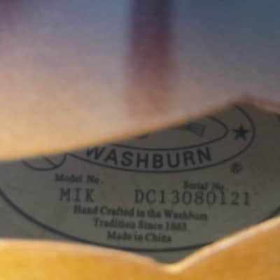 Washburn MIK newer image 3