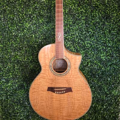 IBANEZ EW20AS acoustic guitars for sale in USA | guitar-list